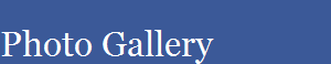 Photo Gallery